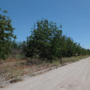 Parcelas en Venta